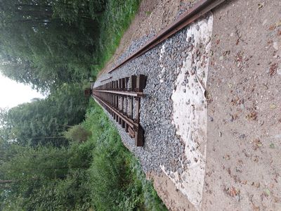 Schbtb_37_2025